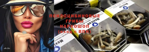 гашик Алексеевка