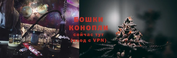 гашик Алексеевка