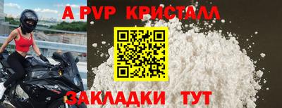 дмт Гатчина