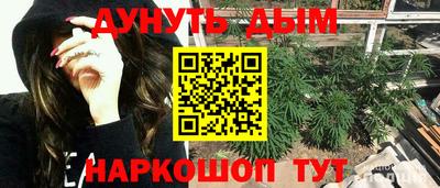 гашик Гай