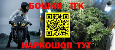 гашик Гай