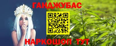 дмт Гатчина