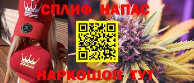 дмт Гатчина