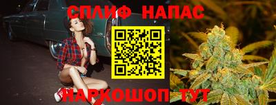 дмт Гатчина