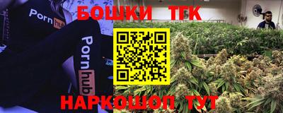 гашик Гай