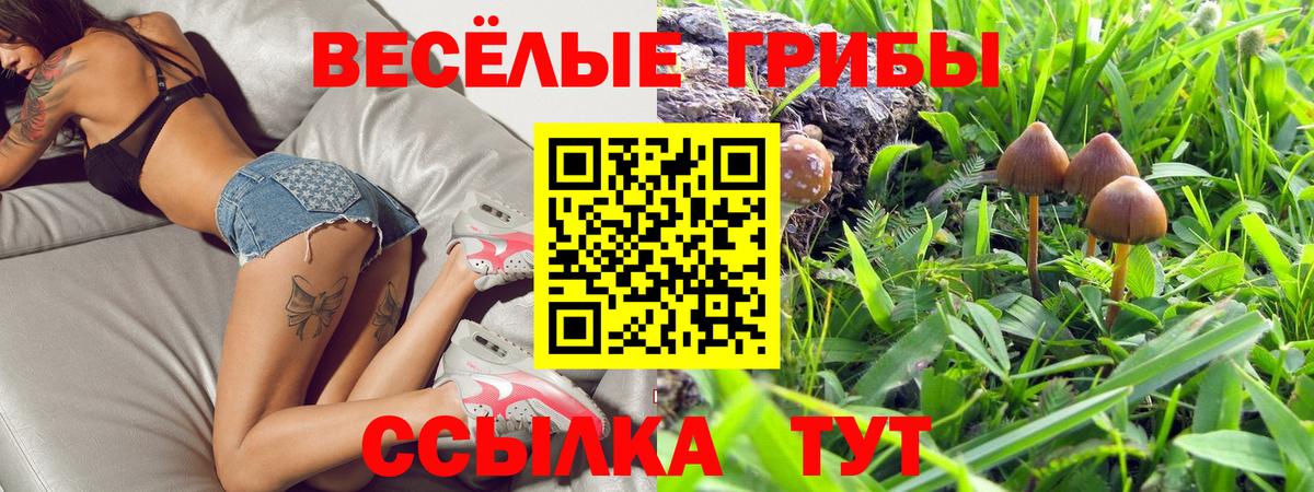 Сосновоборск  Галлюциногенные грибы Psilocybe  Вход с VPN 